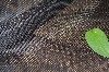 Net Fabric