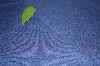 Velvet Fabric