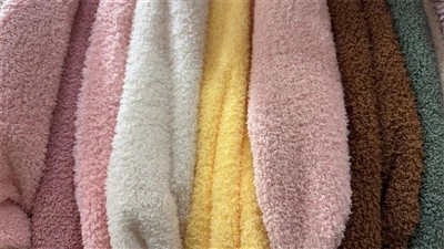 Teddy Plush Fabric